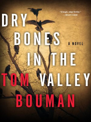 cover image of Dry Bones in the Valley